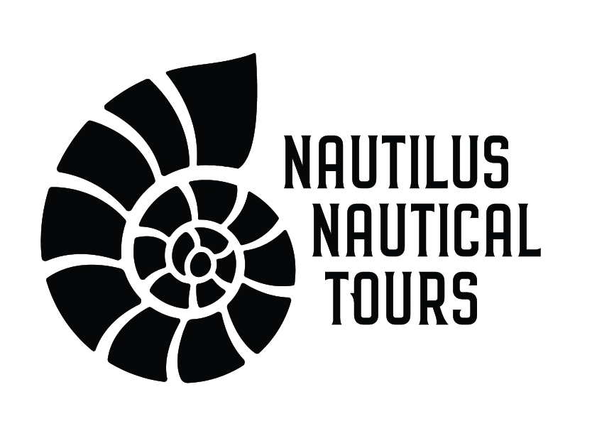 20,000 Leagues Under The Sea: A Deep Dive Into GMB image Google My Business Nautilus Nautical Tours
