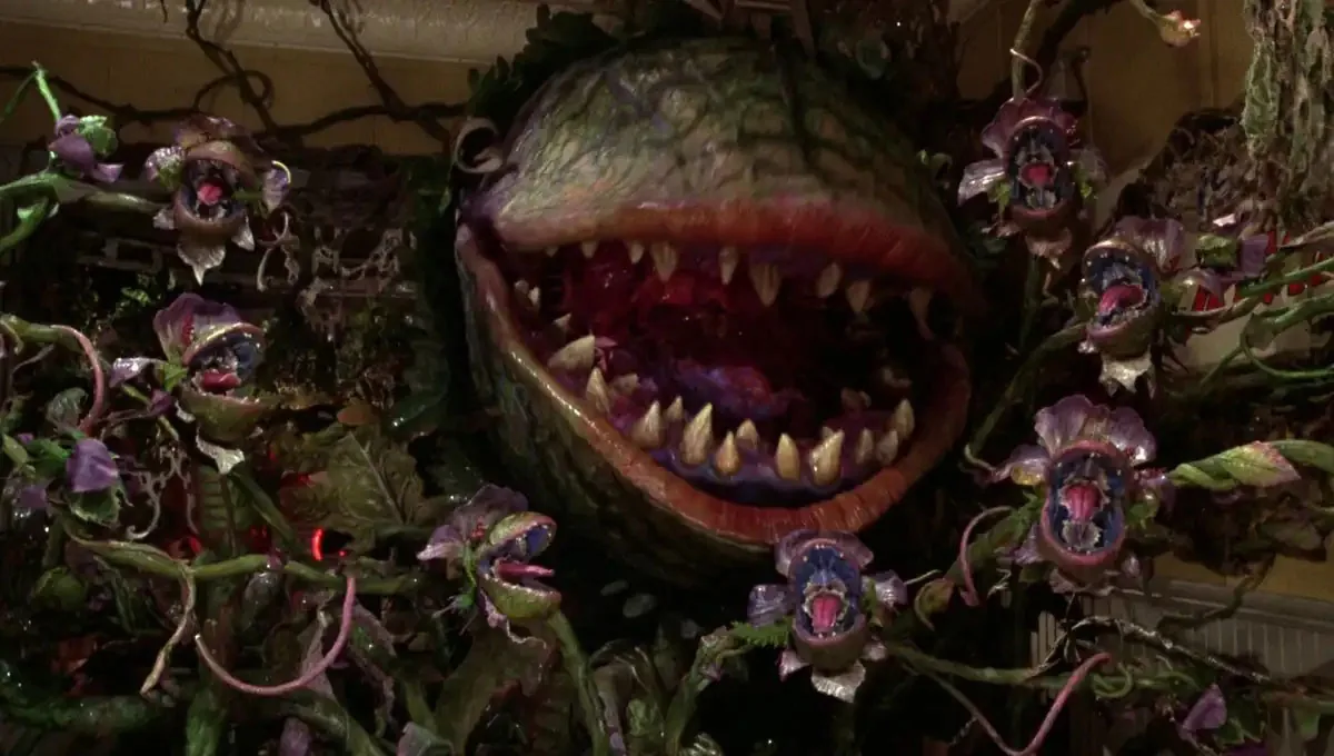 On-page SEO: Feed me, Seymour 