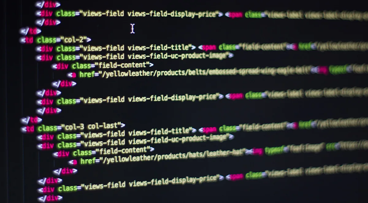 Building My Website: Go DIY or Let Pros Do It?