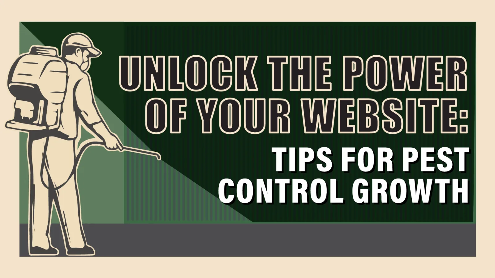 Top Website Design Tips for Pest Control Companies
