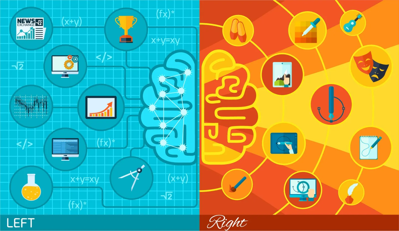 left right brain function