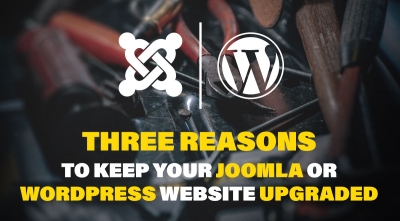Three reasons to keep your Joomla or Wordpress website upgraded