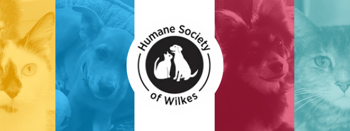 Humane Society of Wilkes